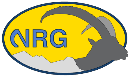 Log_nrg_klein